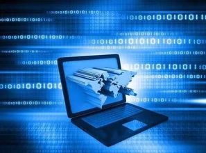 窺國內(nèi)IT生態(tài)體系 一花一世界，互聯(lián)網(wǎng)信息服務(wù)的無限可能